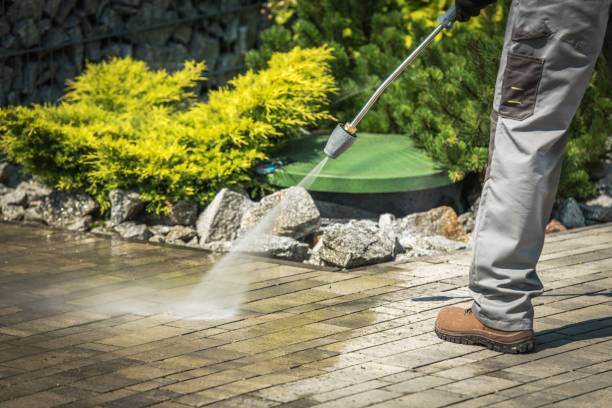 Best Sidewalk and Walkway Cleaning  in Aspinwall, PA